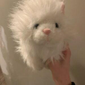 Fluffy White Plush cat webkinz Persian